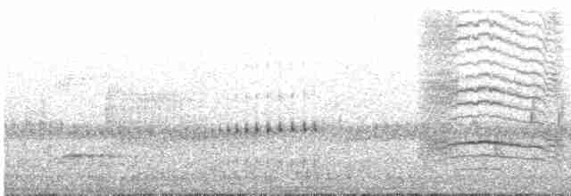 Gray Catbird - ML100028081