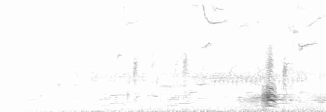 potápka rudokrká - ML100085661