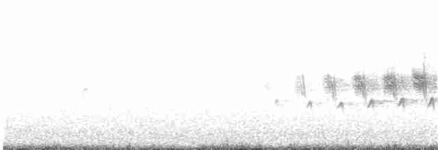 Black-throated Gray Warbler - ML100142771