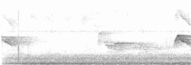 Acadian Flycatcher - ML100146071
