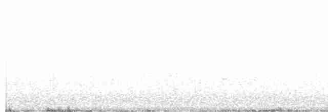 Cerulean Warbler - ML100175661