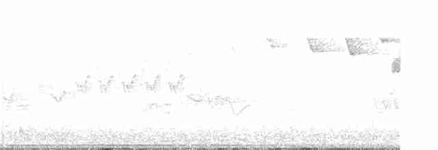 Cerulean Warbler - ML100187661