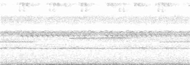 黃嘴角鴞 - ML100207121