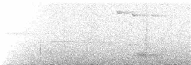 Бронзовохвостый павлиний фазан - ML100207361