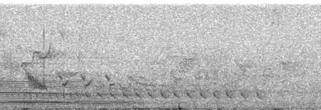 Eurasian Hoopoe (African) - ML100239