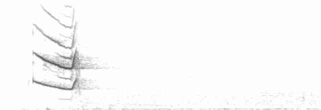 sokolík kropenatý - ML100252441