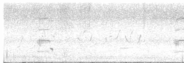 Loggerhead Shrike - ML100355851