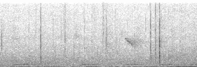 holub žlutozobý - ML100382