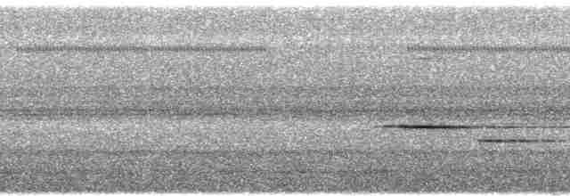 Короткохвостая дриада - ML100474