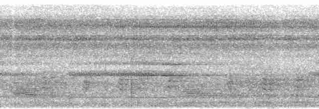 Сероголовый цикадник - ML100499