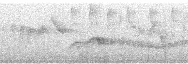 Белокрылая дриада - ML100573
