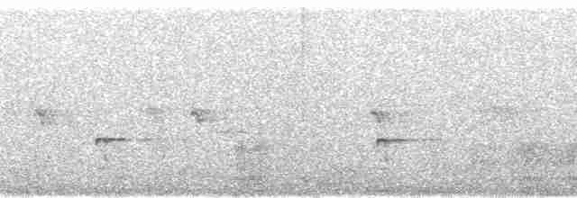 Gray-streaked Honeyeater - ML100579
