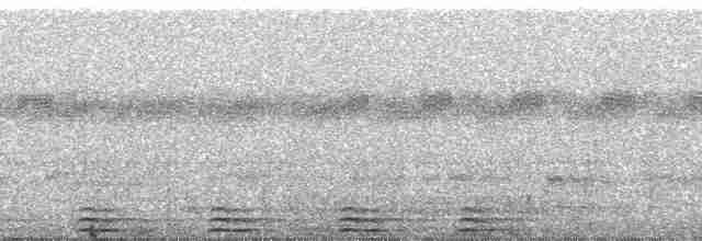Сплюшка мадагаскарська (підвид rutilus) - ML100611