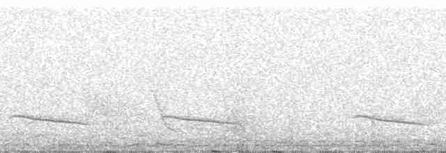 hvitbrystkråke - ML100614