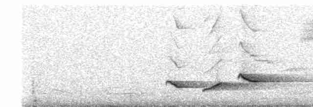 Greater Vasa Parrot - ML100618