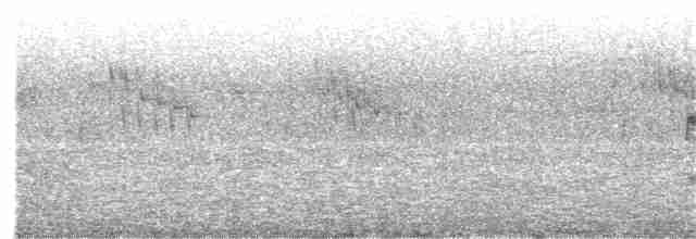 Spotless Starling - ML100778851