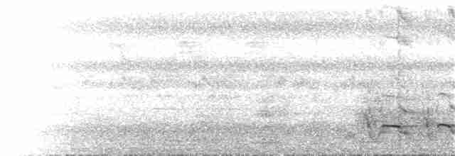 Белохвостый райский зимородок - ML100811601