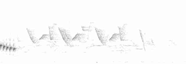 Weißaugenvireo [griseus-Gruppe] - ML100813