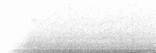 holub chocholatý - ML100939261