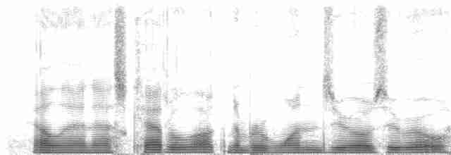 Black-eared Hemispingus (Black-eared) - ML100982
