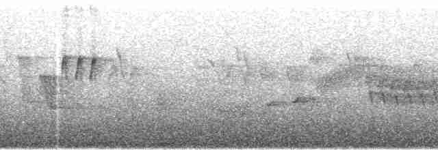 Мухолов-клинодзьоб сірий - ML100992