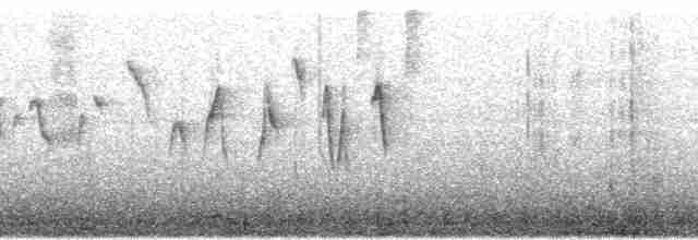 Reinita Citrina (striaticeps) - ML100995