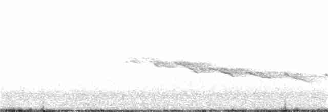 Kanyon Çıtkuşu - ML101009761