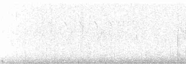 Paruline à couronne rousse - ML101059