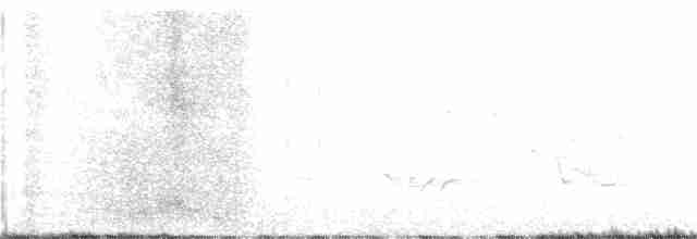 Vireo Ojiblanco - ML101115331