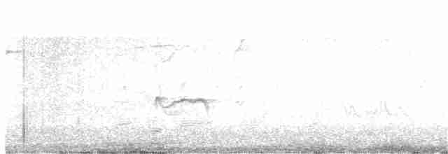Sarı Karınlı Boreal Sinekkapan - ML101127661