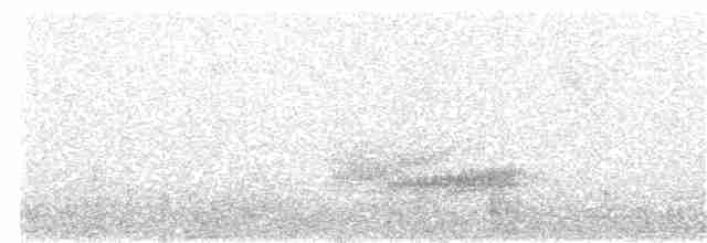 Gri Sırtlı Bülbül Ardıcı - ML101136431