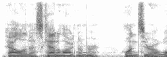 Пугач гвінейський (підвид vosseleri) - ML101182