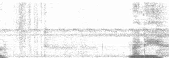 Дрімлюга гірський (підвид poliocephalus) - ML101281