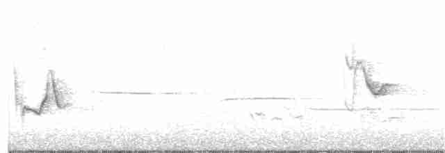 Сероголовый виреон - ML101303821