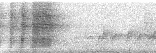 Гонолек східний (підвид fuelleborni) - ML101307