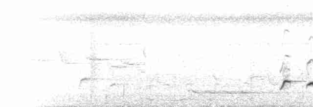 Gray Whistler - ML101312641