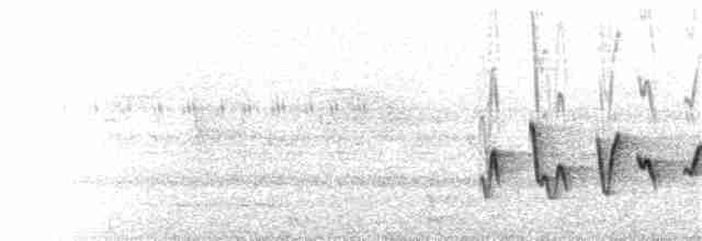 Гвінейниця жовтогруда - ML101312911