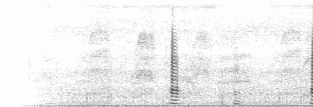 husovec strakatý - ML101314281