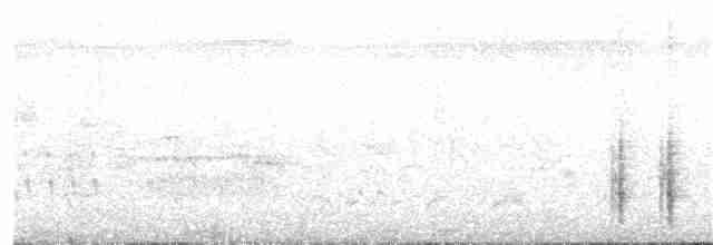 Great Reed Warbler - ML101351261