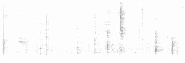 Grallaire ceinturée - ML101484721