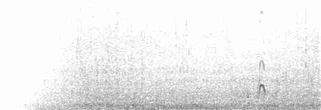Длинноклювый кулик-сорока - ML101489731