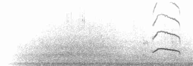 Длинноклювый кулик-сорока - ML101489861