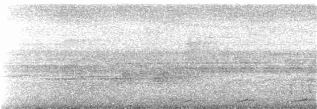 Малая кукушковая горлица - ML101502121