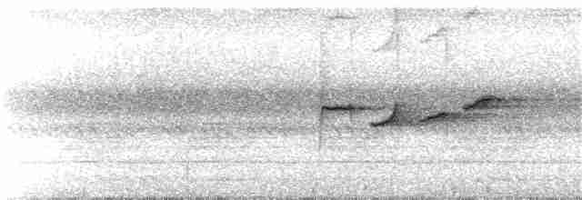 Gray-headed Canary-Flycatcher - ML101509241