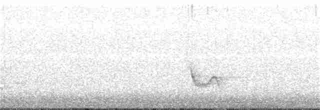 Plumbeous Vireo - ML101517211