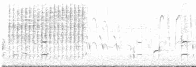 Marsh Wren (plesius Group) - ML101553861