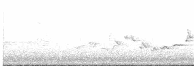 Віреон світлобровий (підвид gilvus) - ML101554751