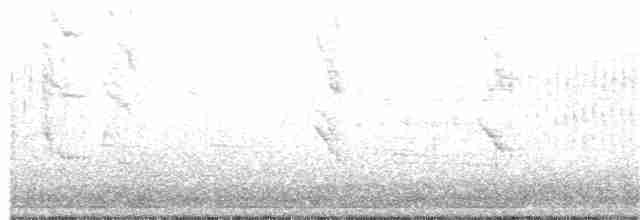 Віреон світлобровий (підвид gilvus) - ML101554781