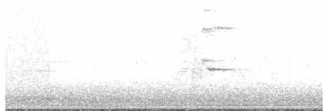 Віреон світлобровий (підвид gilvus) - ML101554791