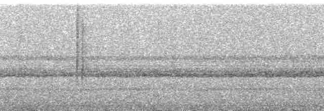 Сова-лісовик бура (підвид borelliana) - ML101580